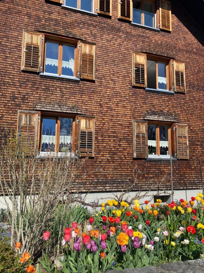 Mama Kaethe - Apartments Nenzing Exterior foto